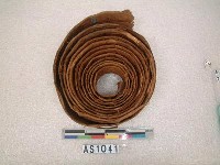 藏品(樹皮帶)的圖片